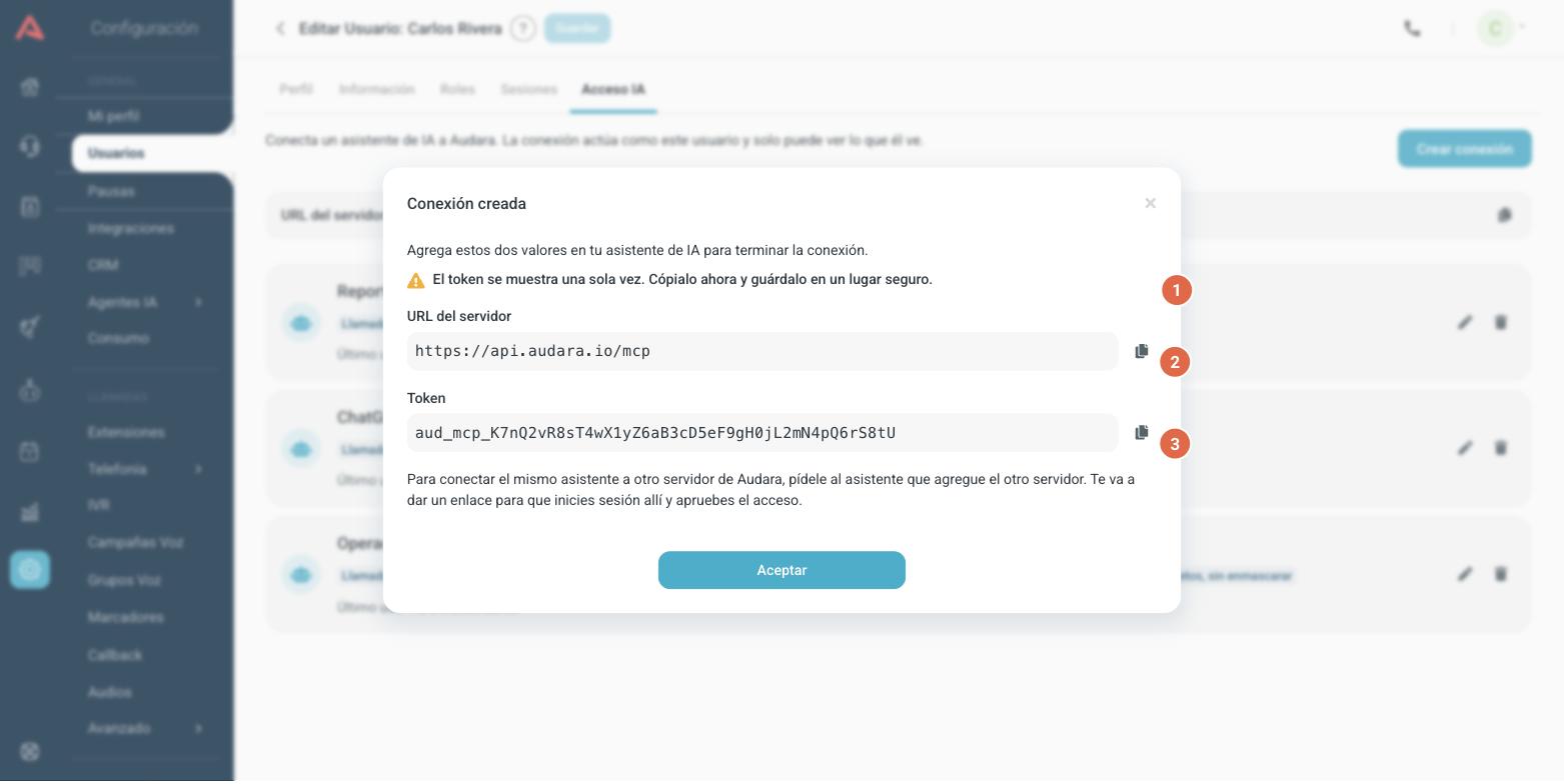 Pantalla Conexión creada, con la URL del servidor y el token
