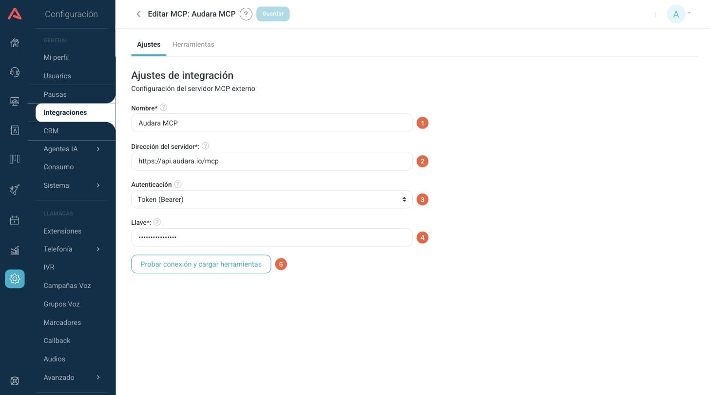 Formulario de un servidor MCP, pestaña Ajustes